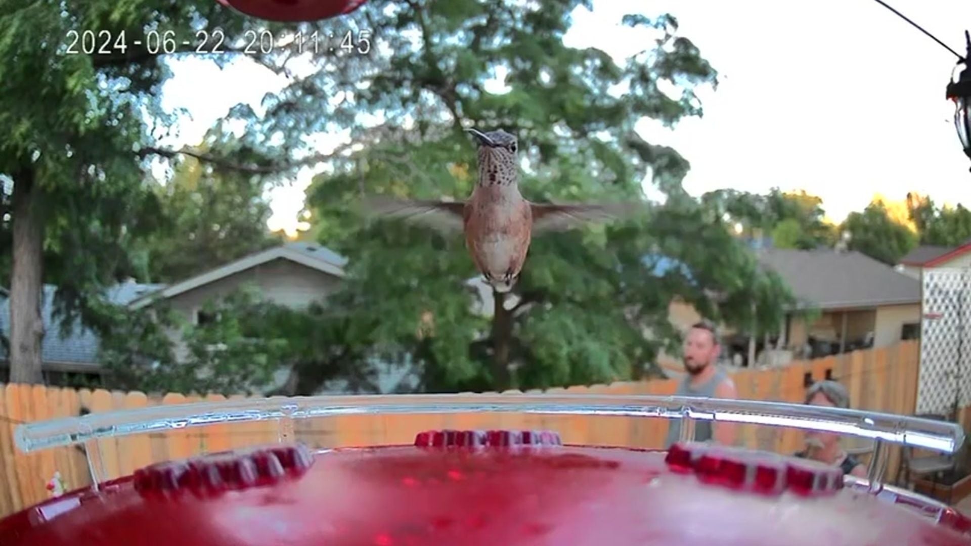 Trail Optics Smart Hummingbird Feeder